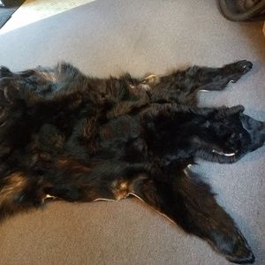 Meet your Posher, Andy